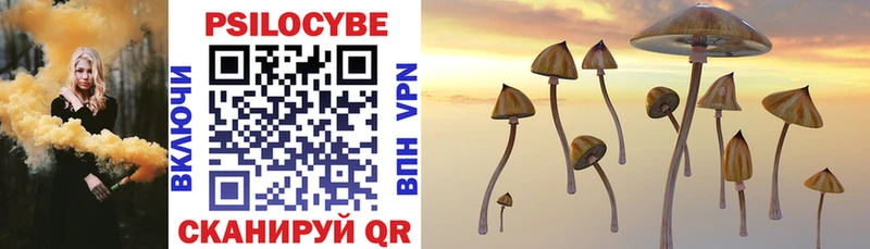 Купить  Малая Вишера  Галлюциногенные грибы Cubensis 